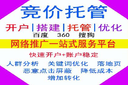 某行业巨头背后的SEM代运营服务公司